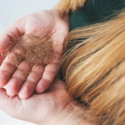 What's the difference between hair shedding and growth? Dr. Ben Behnam explains it and why it can happen.